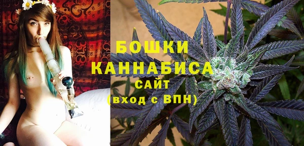 амф Арсеньев
