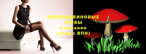 амф Арсеньев