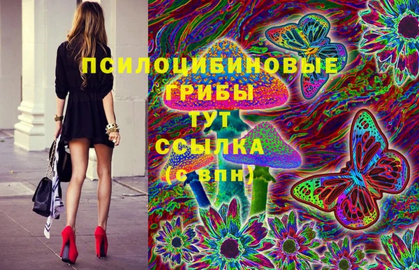 хмурый Армянск